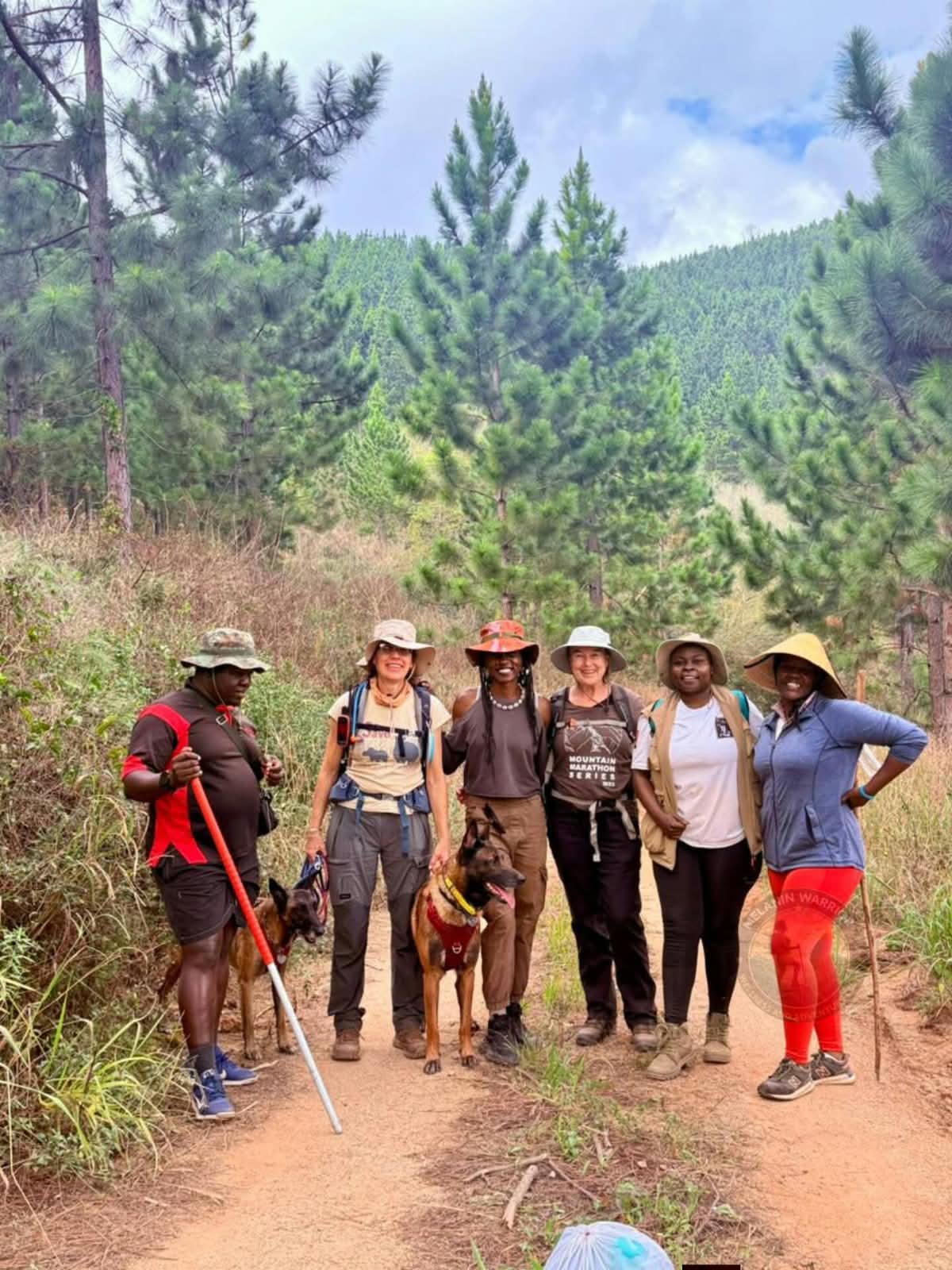 Group of hikers with dogs on a forested Queens River trail near Barberton